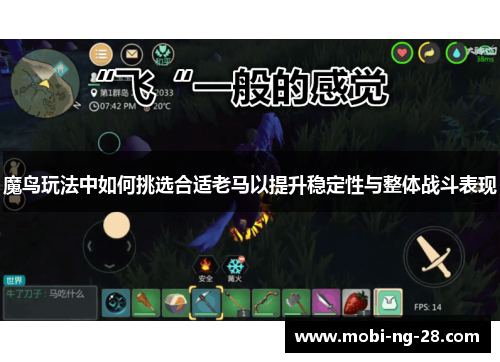 魔鸟玩法中如何挑选合适老马以提升稳定性与整体战斗表现