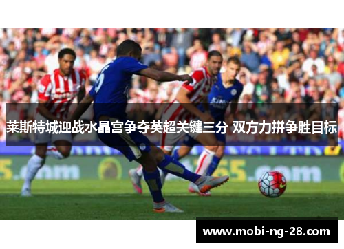 莱斯特城迎战水晶宫争夺英超关键三分 双方力拼争胜目标